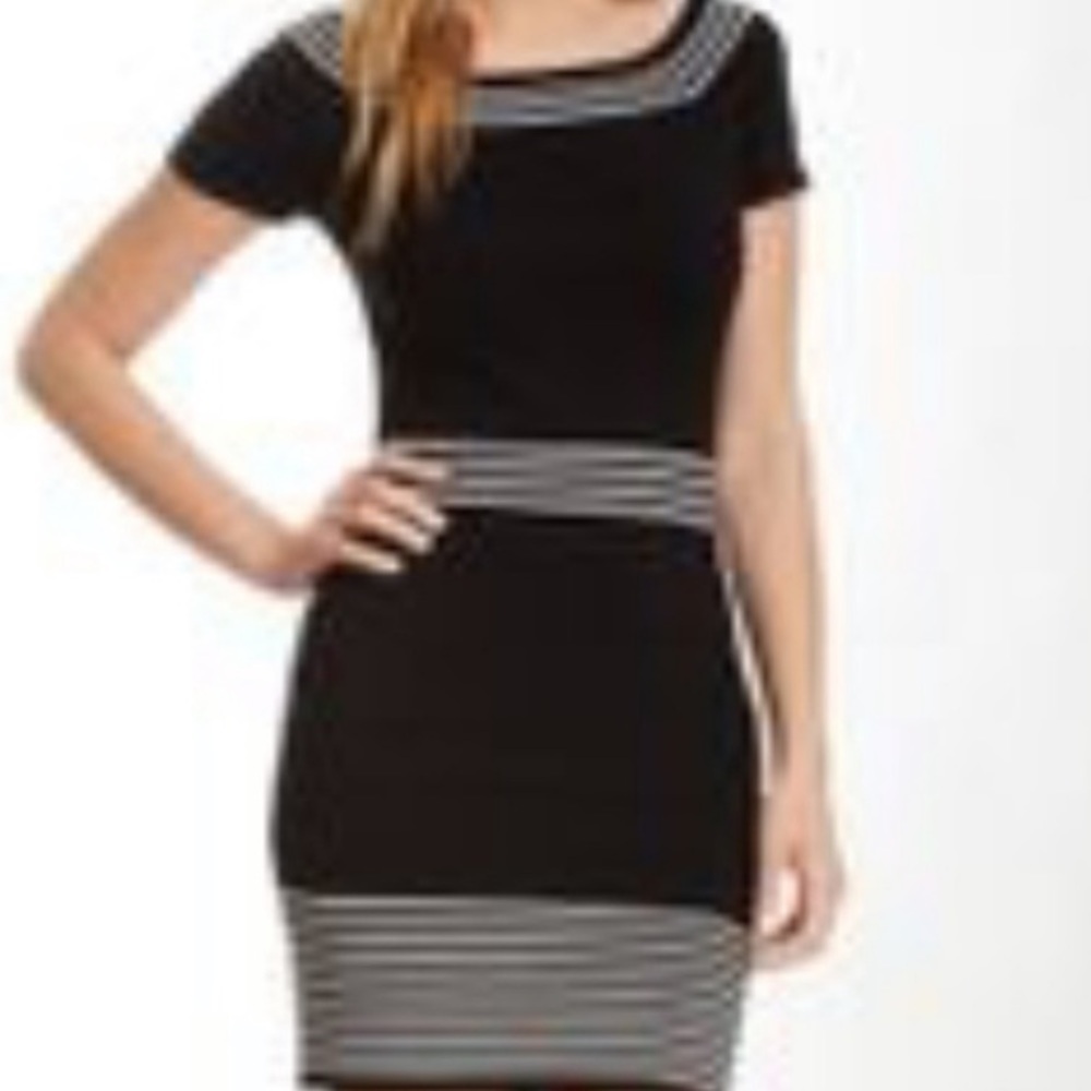Max Studio Bodycon Sweater Dress
